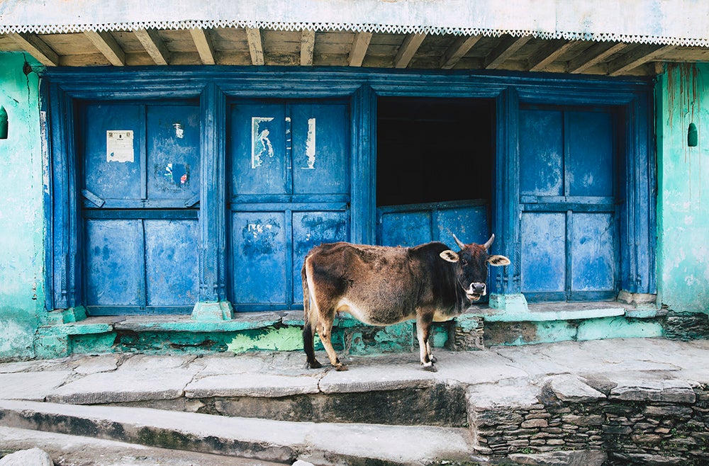 Himalayan Alley