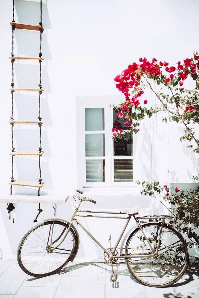 Bike & Flowers